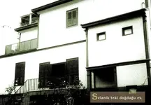 251.webp