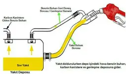 ad45cc8cc1f602f3315e9db0d53b5bd2.webp