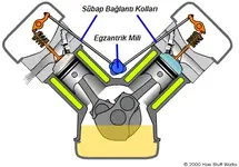 egzantrik.webp egzantrik.webp