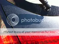 photo2.webp photo2.webp