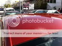 photo41-1.webp