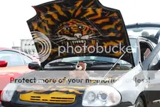 DSC_0073.webp