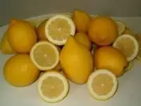 f61975f2d40463c4016ca7c24382fe7d_k.webp
