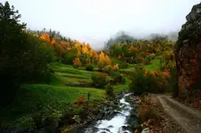 0_4_498.webp