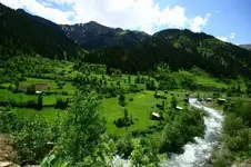 0_6_496.webp