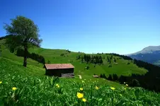 0_13_422.webp