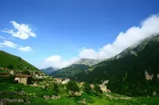 0_17_374.webp