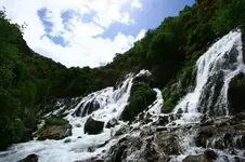 0_21_322.webp