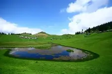0_26_278.webp
