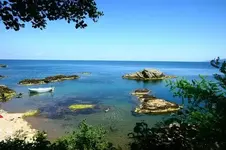 0_28_262.webp