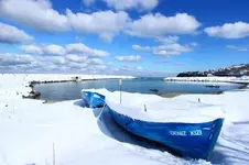 0_29_255.webp