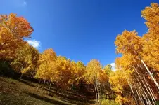 0_30_248.webp