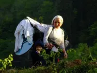 0_38_195.webp