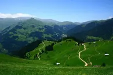 0_40_187.webp