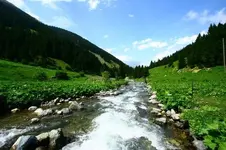 0_57_124.webp