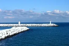 0_61_113.webp