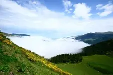 0_73_89.webp