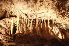 120504091126657479804568.webp