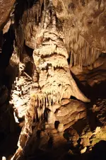 120504091141657479804572.webp