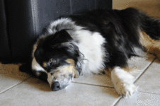 5992373274-3fc18d0bd2-o710871822.gif