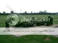 ClioWilliamsFactory200446.webp