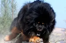 0_896.webp