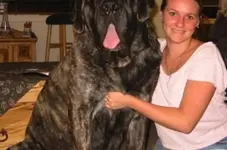 0_1_758.webp