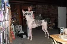 0_8_676.webp