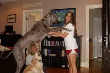 0_11_620.webp