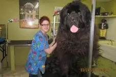 0_16_523.webp