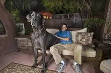 0_20_438.webp