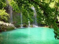 01.webp