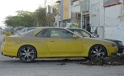 3923754556.webp
