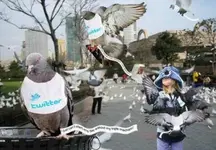 10_1118.webp 10_1118.webp