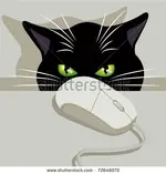 mouse543224776.webp mouse543224776.webp
