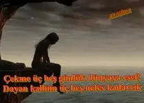 y09x2t5lWH7KSl2jtoTBF2NARVT94we5q_y_bmyMwyZ5_yHobw.webp