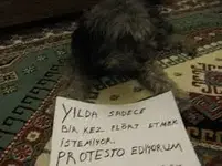 TZresUC_-rpLqEOE5GB1mMEQ8sNk53KaeVgdTDmgspvIRirq2B.webp