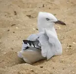 710_16.webp