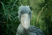 710_7.webp