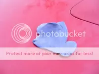DSCF3700-1.webp