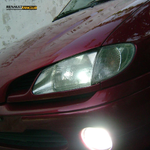 coupe.bordo.webp
