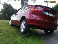 coupe.bordo1.webp