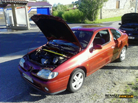 coupe.bordo2.webp