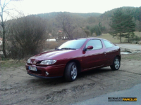 coupe.bordo3.webp