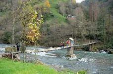 esh1264_2.webp esh1264_2.webp