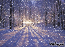 snowfall.gif