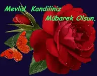 QqbeTOX-qM0FosfBfP-PxZn2DN5pmUrrvGd1YseO8OJckAUYSr.webp