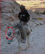 bmw.xdrive.webp