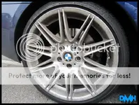 IMG_0870copy800x600.webp