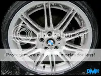IMG_0897copy800x600.webp